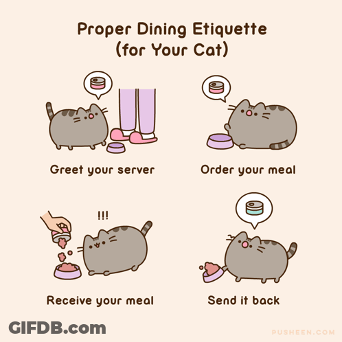Cartoon Explaining Proper Dining Etiquette For A Cat GIF