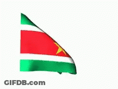 Cartoon Face Flag Flying In Wind GIF