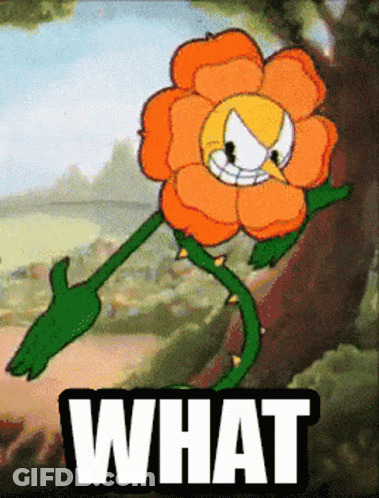 Cartoon Flower Yellow Face Saying What GIF