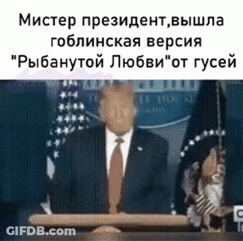 Cartoon Fox Laying Down Saying Give Me Attention GIF