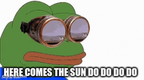 Cartoon Frog In Goggles Says Here Comes The Sun Do Do Do Do GIF
