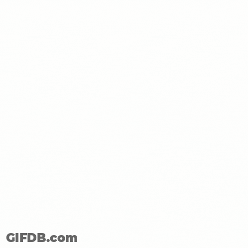 Cartoon Frog In Sunglasses With Bone Behind GIF