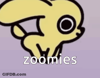 Cartoon Frog Saying Zoomies GIF