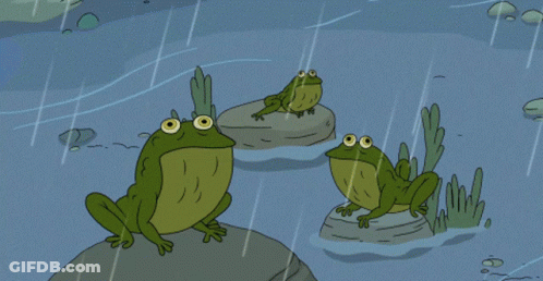 Cartoon Frogs And Person In Rain GIF