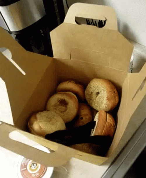 Cartoon Full Of Bagel GIF