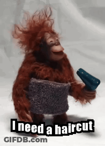 Cartoon Girl Holding Pink Hair Dryer GIF