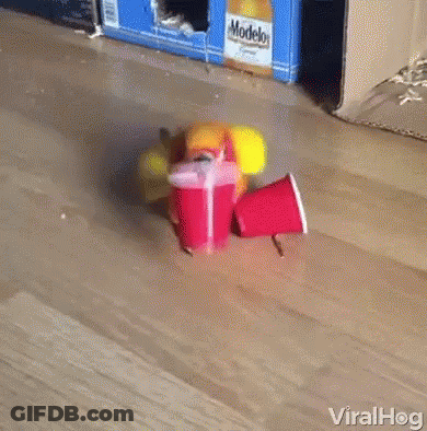Cartoon Girl Making Funny Face GIF