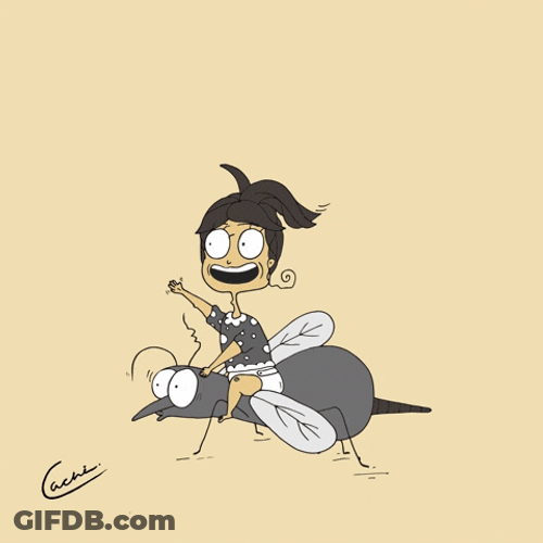 Cartoon Girl Ride Mosquito GIF