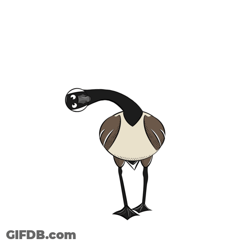 Cartoon Goose In Sweater GIF