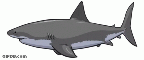 Cartoon Great White Shark GIF