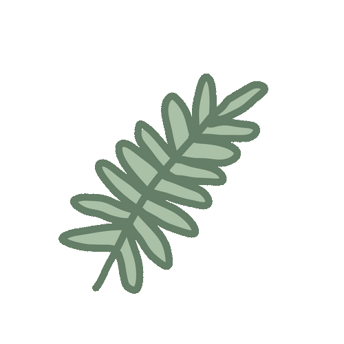 Cartoon Green Fern Plant GIF