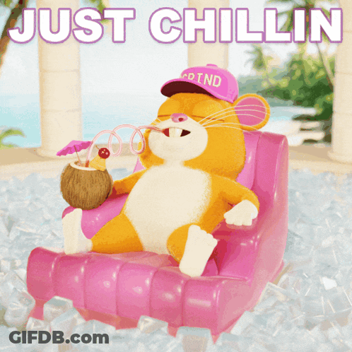 Cartoon Hamster Holding Coconut Drink In Cd Ind Hat GIF