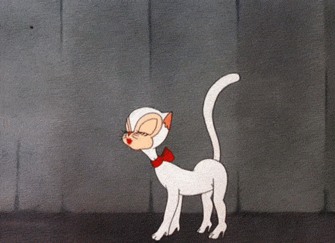 Cartoon High Heels Cat Walking GIF