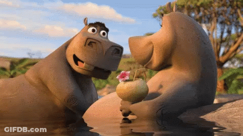 Cartoon Hippo Drinking Coconut GIF