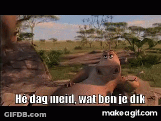 Cartoon Hippo Says He Dag Meid Wat Ben Je Dik GIF