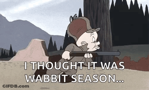 Cartoon Holding Gun Saying I Thought It Was Wabbit Season GIF