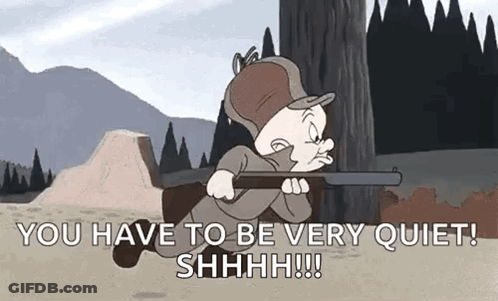 Cartoon Holding Gun Saying You Have To Be Very Quiet GIF