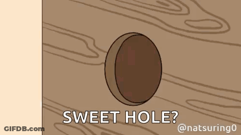 Cartoon Hole In Wooden Wall Saying Sweet Hole GIF