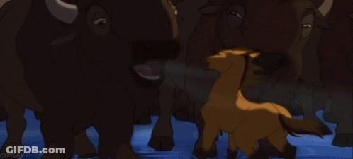 Cartoon Horse Standing In Water GIF