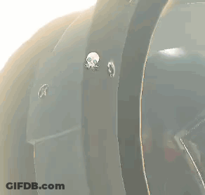 Cartoon Jellyfish With Blue Eyes GIF