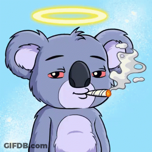 Cartoon Koala In Hoodie And Sunglasses With Letter H GIF