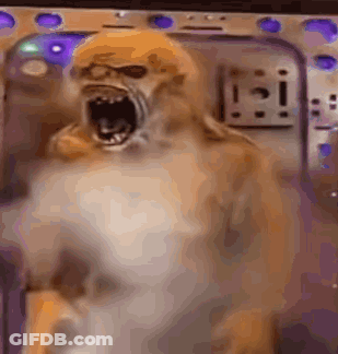 Cartoon Lion Lying On Bed GIF