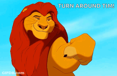 Cartoon Lion Pointing And Saying Turn Around Tim GIF