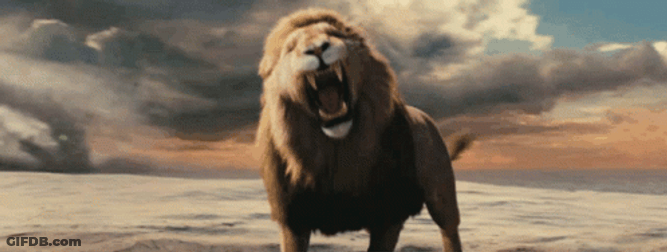 Cartoon Lions Roaring To Emptiness GIF