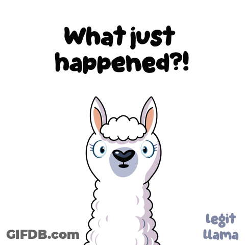 Cartoon Llama Surprised What Just Happened GIF