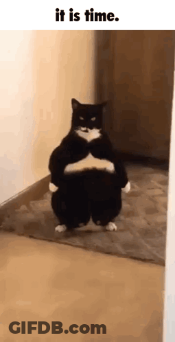 Cartoon Man And Woman GIF