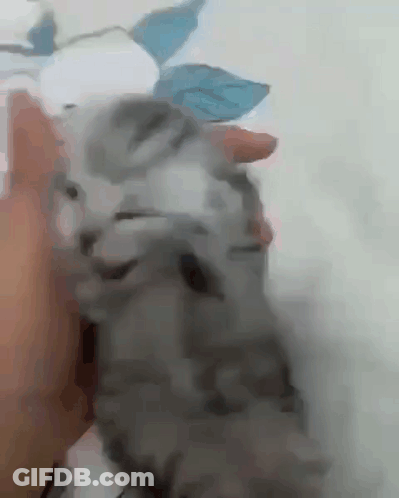 Cartoon Man And Yellow Rabbit Just Pathetic GIF