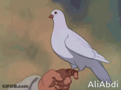 Cartoon Man Holding Bird Aliabdi GIF