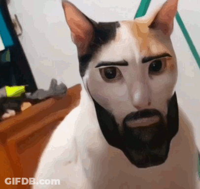 Cartoon Man In NY Hat And Pig T-Shirt GIF