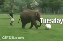 Cartoon Man Leaning Against Wall Monday Feels Like GIF