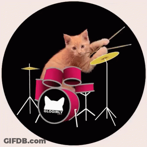 Cartoon Man Playing Drums With Bam GIF