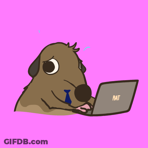 Cartoon Meerkat Using Laptop Saying Pat GIF
