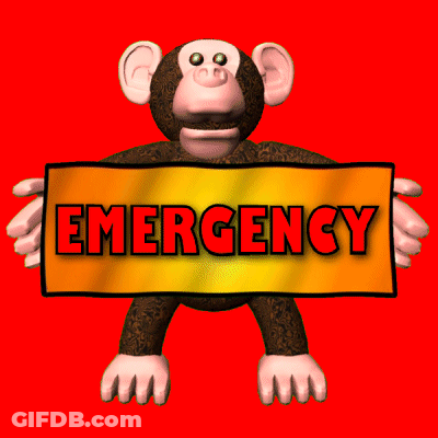 Cartoon Monkey Holding Orange Emergency Sign GIF