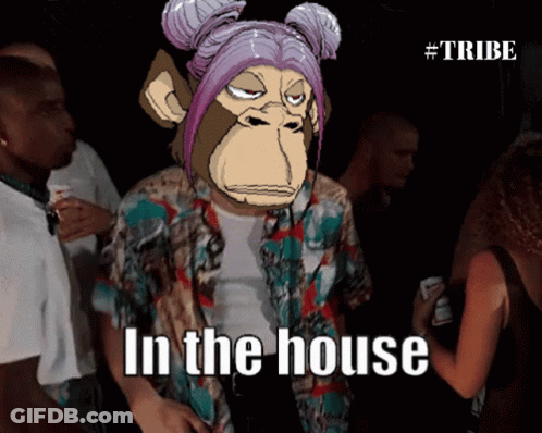 Cartoon Monkey Saying In The House GIF