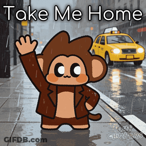 Cartoon Monkey Saying Take Me Home In Front Of Yellow Taxi GIF