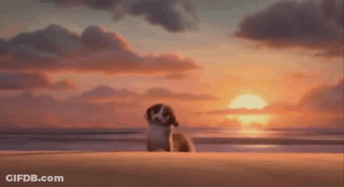 Cartoon Monkey Walking Beach Sunset GIF