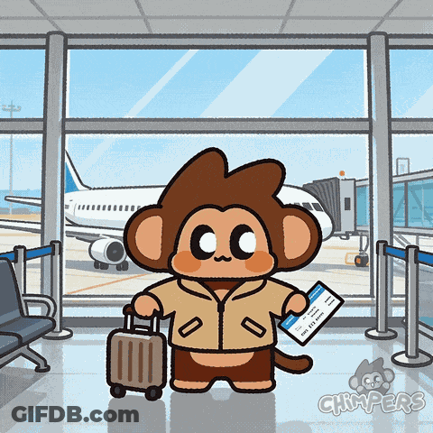 Cartoon Monkey With Suitcase And Boarding Pass GIF
