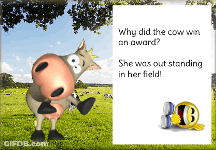 Cartoon Moo Joke Time GIF