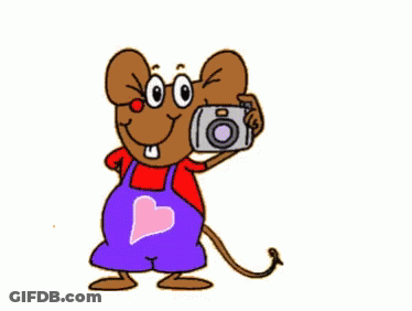 Cartoon Mouse Holding Cheese Camera Say Cheese GIF