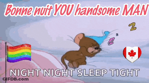 Cartoon Mouse Sleeping Near Rainbow Flag And Maple Leaf GIF