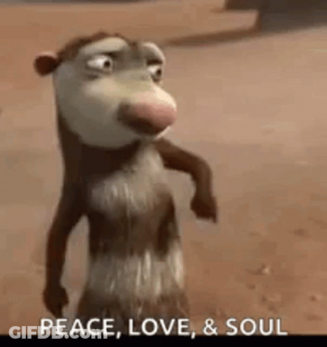 Cartoon Opossum On Beach Saying Peace Love And Soul GIF