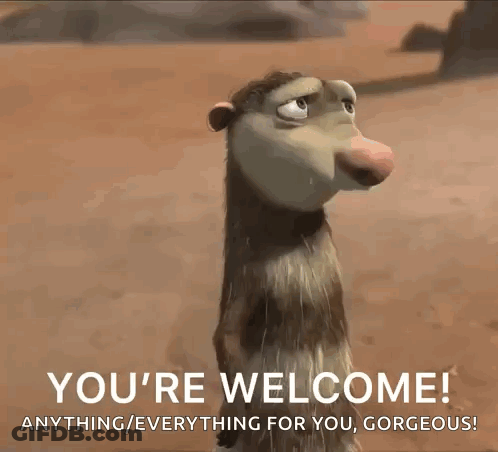 Cartoon Opossum Saying You're Welcome Gorgeous GIF