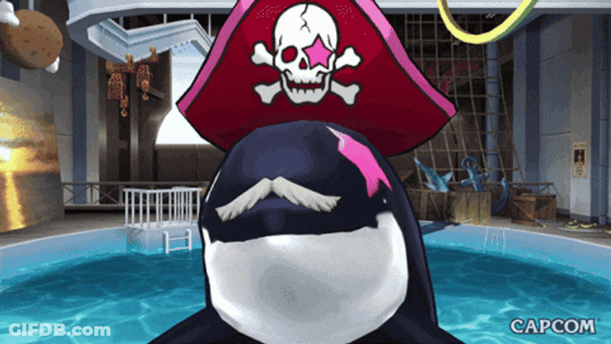 Cartoon Orca In A Pool GIF