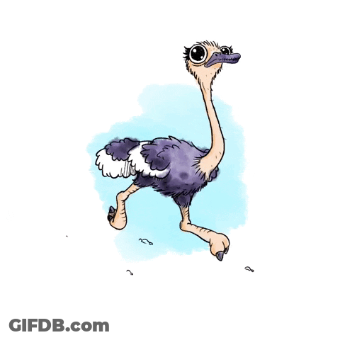 Cartoon Ostrich With Long Neck GIF