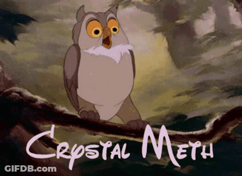 Cartoon Owl On Branch Saying Crystal Meth GIF