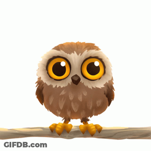 Cartoon Owl On Branch With Big Yellow Eyes GIF